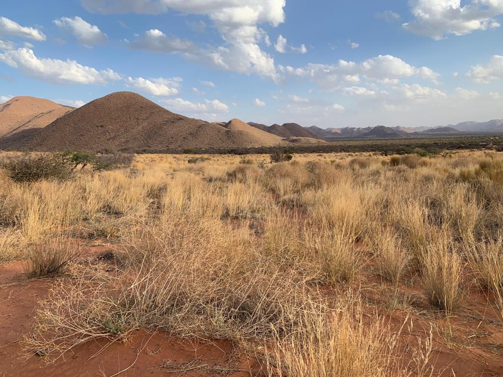 Tswalu Kalahari Reserve - Meet the honey badger (Mellivora capensis). A  widely distributed species across Africa, the Middle East and areas of  Asia, they are close relatives of otters, polecats, wolverines, minks