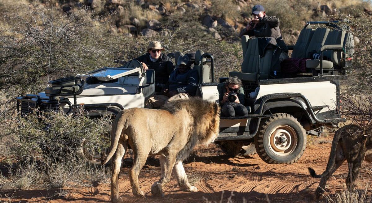 Photographic safari vehicle