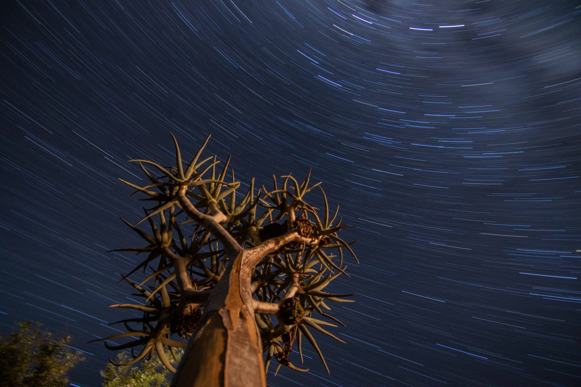 Photography - photographing the night sky