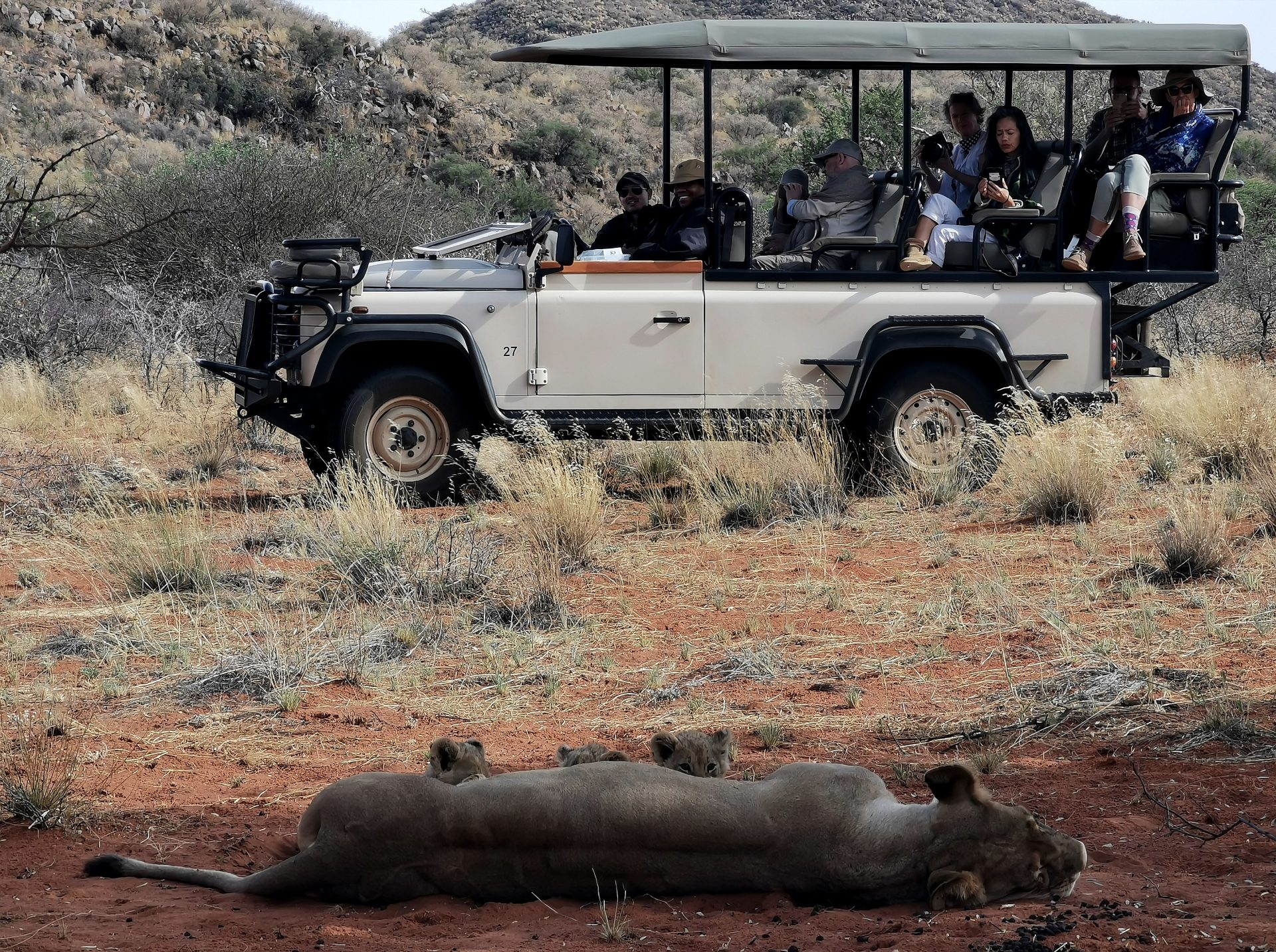 African Safari experiences at Tswalu. Enjoy a Private Vehicle Safari