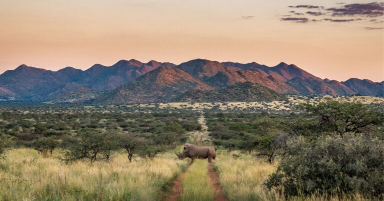 Conservation of the Land