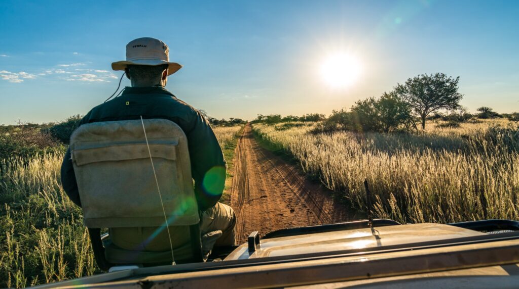 kalahari wildlife tours