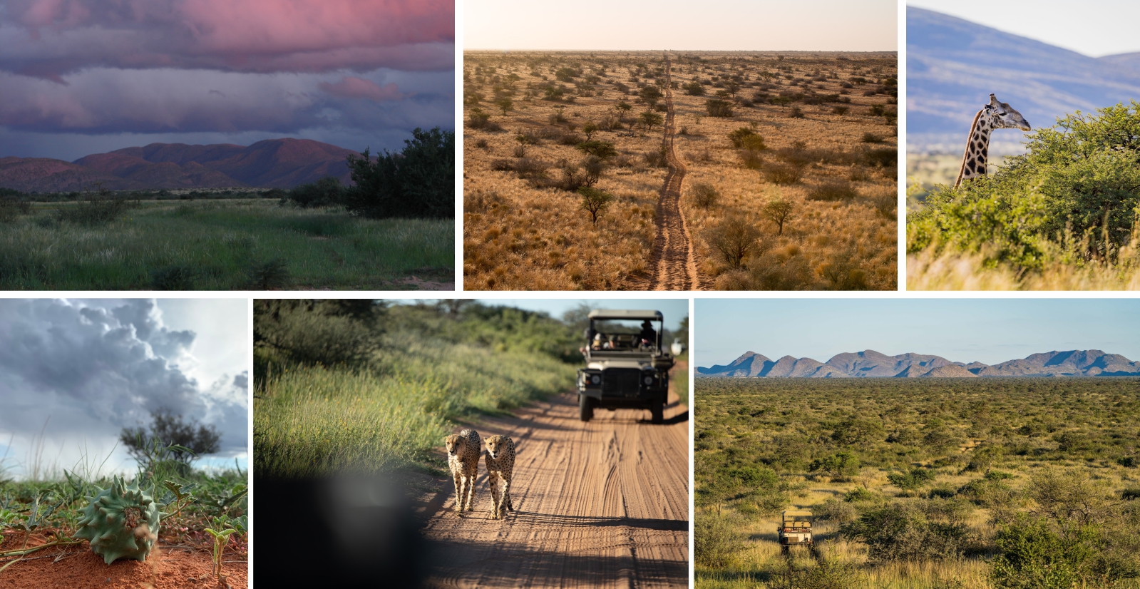 Diverse habitat of Tswalu Kalahari reserve