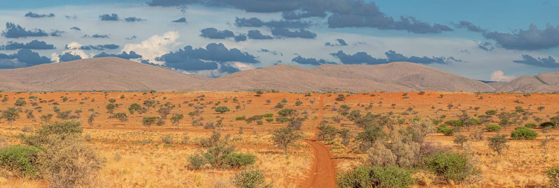 Tswalu Kalahari Landscape