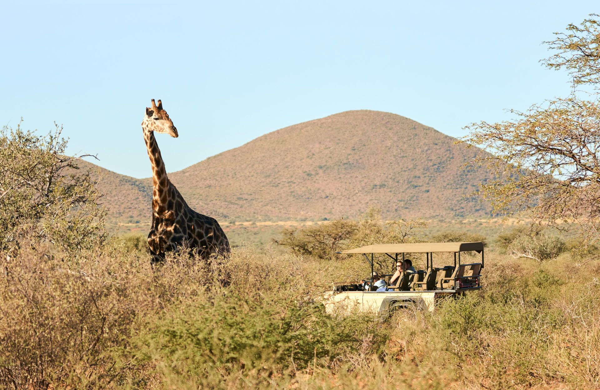 Safari in private at Tswalu Kalahari