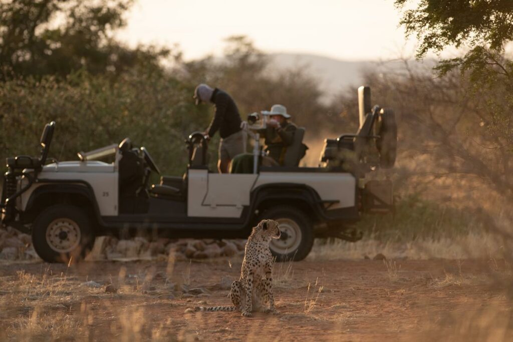 Cheetah sighting from the photographic vehicle