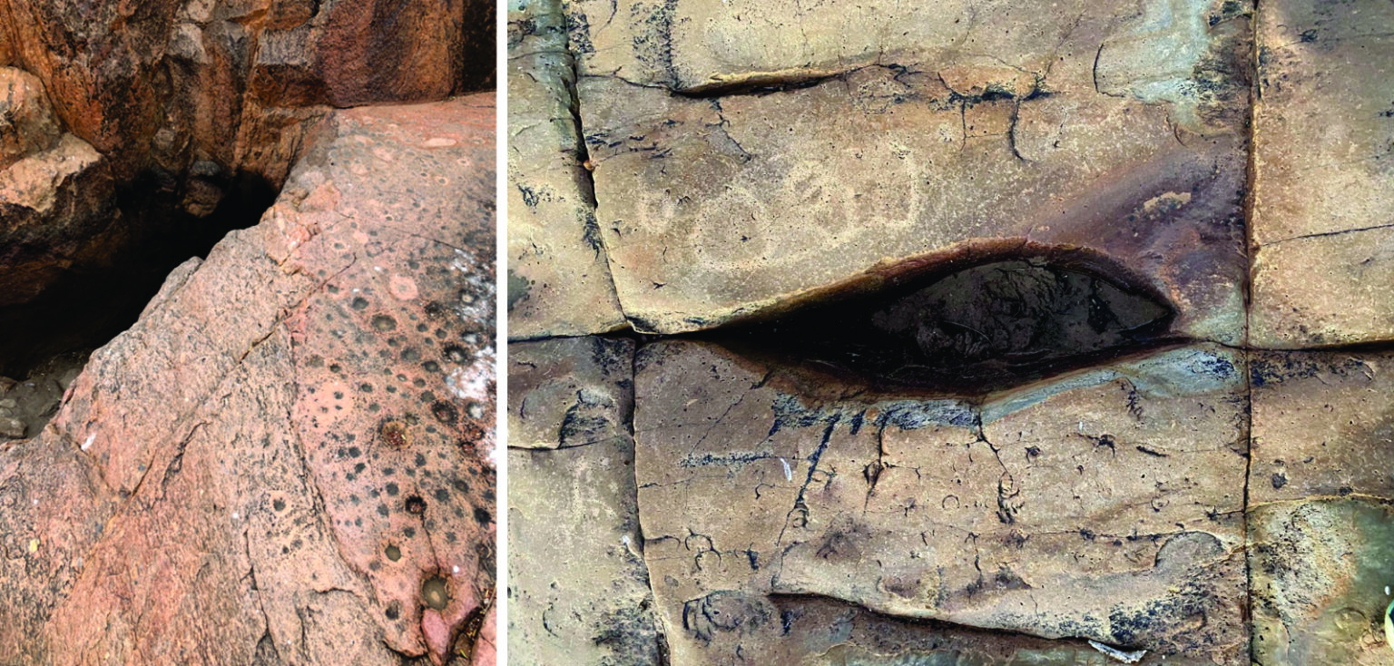 UNDERSTANDING ROCK ENGRAVINGS Tswalu