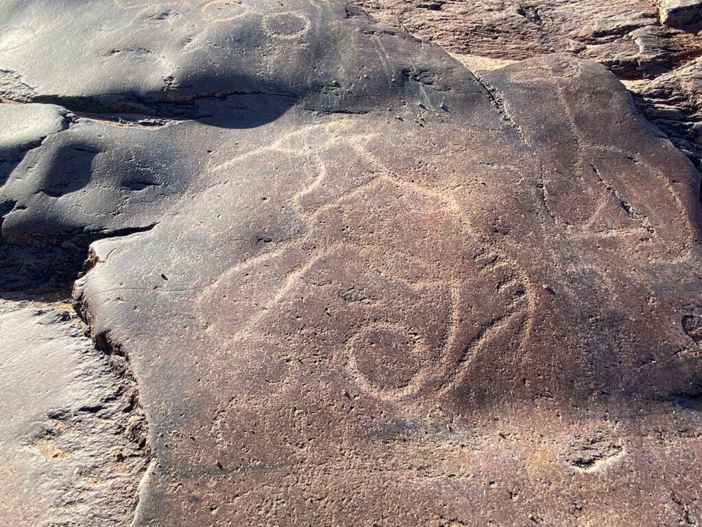 Animal Collegium Rock art