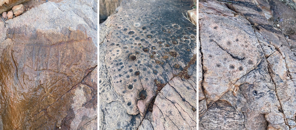 Petroglyph site on top of Bushman Hill