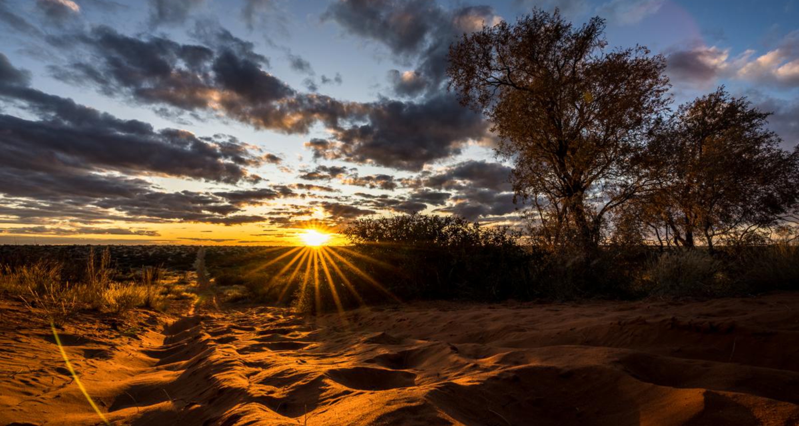 Sunrise over the Kalahari landscape