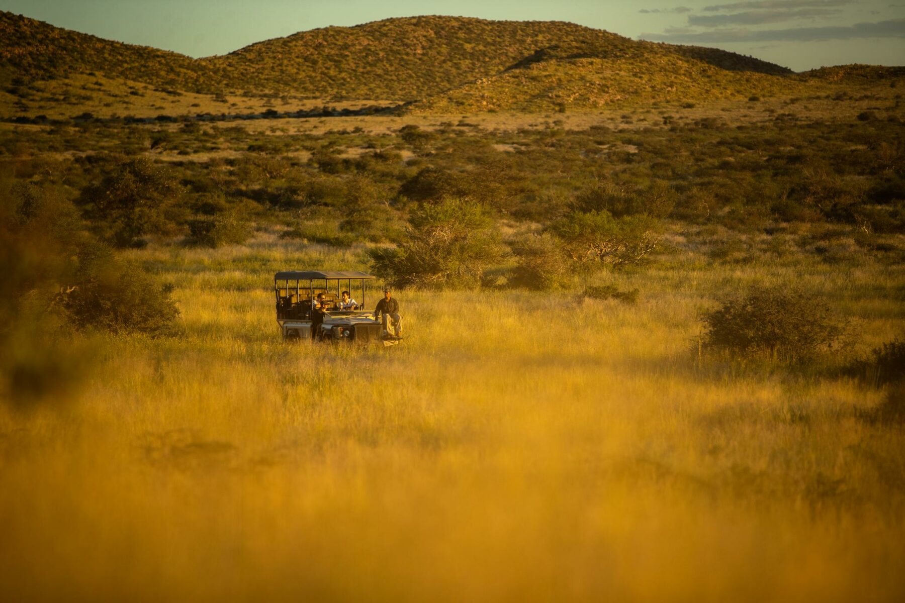 Time and space in your private vehicle with guide and tracker. Image by Felix Studios