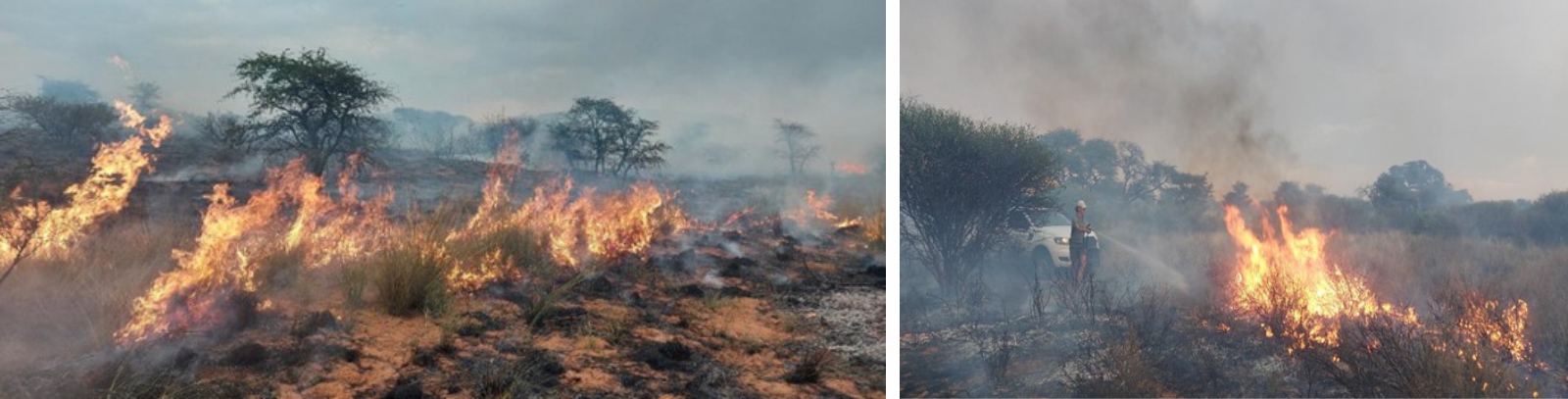 Fire after a lightning strike - Wildfires at Tswalu