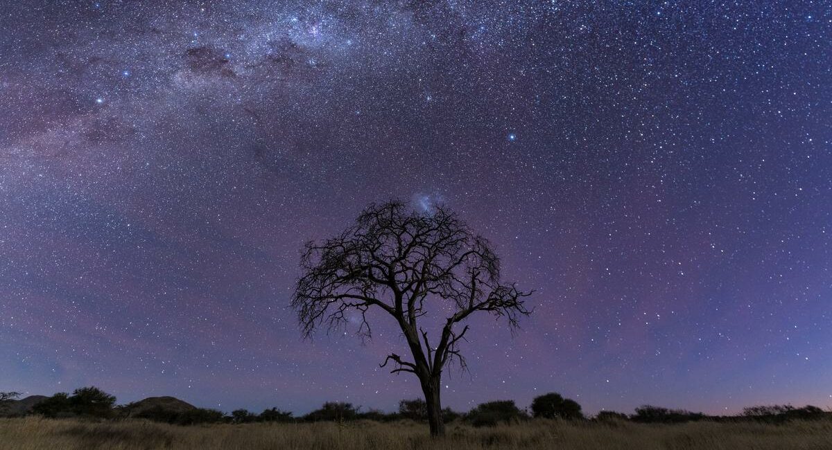 The Kalahari night sky