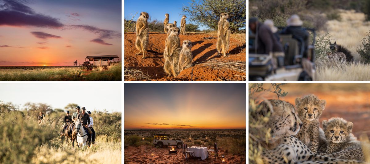 Tswalu guest experiences